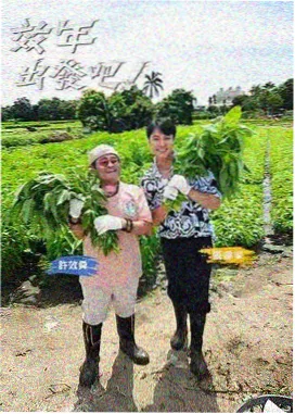 飞飞影视美食户外综艺荒野厨房海报